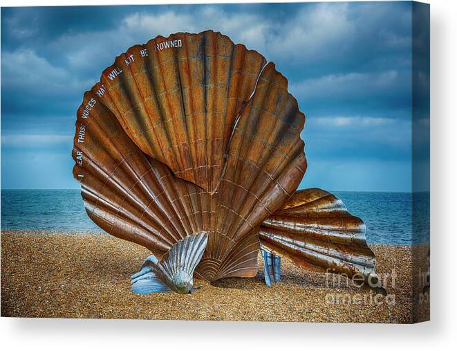 Aldeburgh Shell Canvas Print featuring the photograph Aldeburgh Scallop Shell by Chris Thaxter