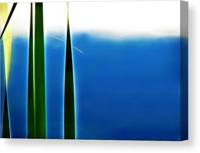 Grass Canvas Print featuring the photograph Alive by John Poon