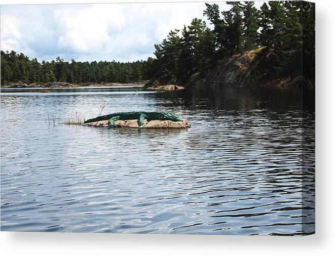 Alligator Canvas Print featuring the photograph Alligator Island by Debbie Oppermann