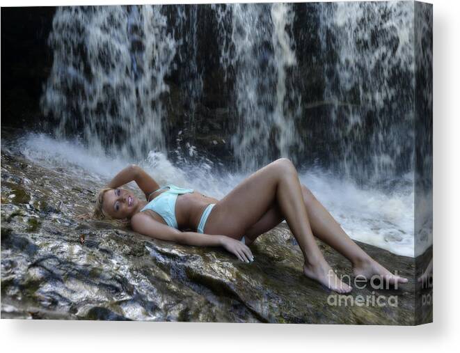 Waterfall Canvas Print featuring the photograph Ally at the waterfalls laying on rock by Dan Friend