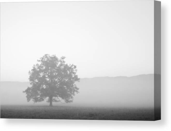 Tree Canvas Print featuring the photograph Alone by Bob Decker