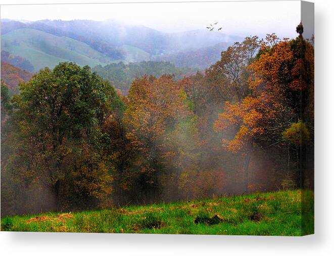Trees Canvas Print featuring the photograph Along the BRP by Joan Bertucci