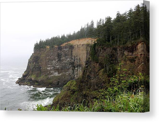 Oregon Coast Canvas Print featuring the photograph Along the Oregon Coast - 8 by Christy Pooschke
