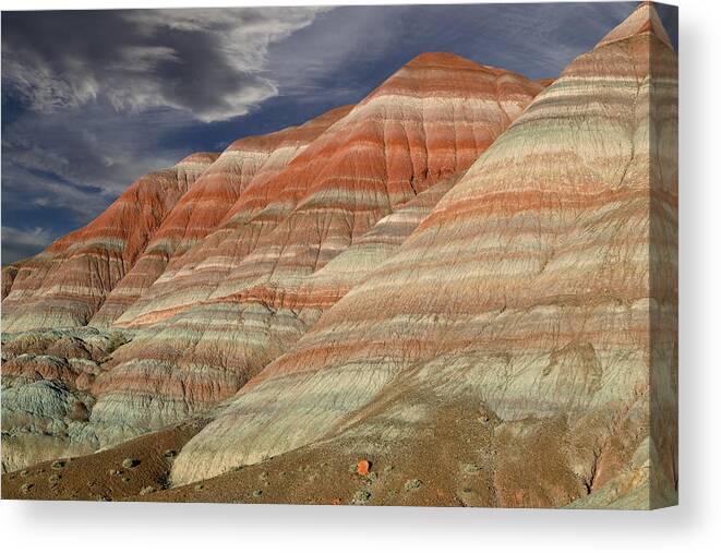 Paria Canvas Print featuring the photograph Along the Paria by Kathleen Bishop
