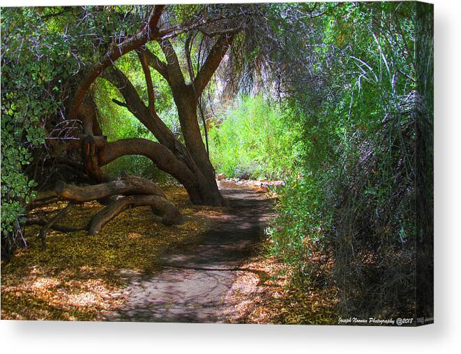 Path Canvas Print featuring the photograph Along The Path by Joseph Noonan