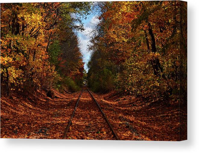 Tree Canvas Print featuring the photograph Along The Rails by Tricia Marchlik