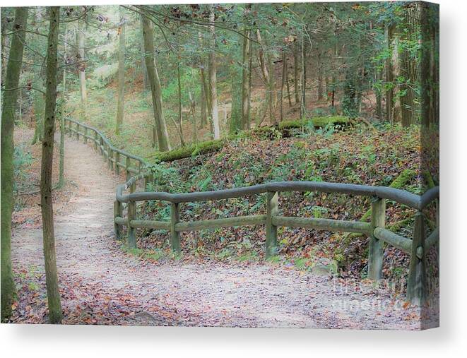 Trail Canvas Print featuring the photograph Along the Trail, Life Happens by Merle Grenz