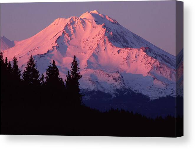 Mt Shasta Canvas Print featuring the photograph Alpenglow - Mt Shasta by Denise Dethlefsen