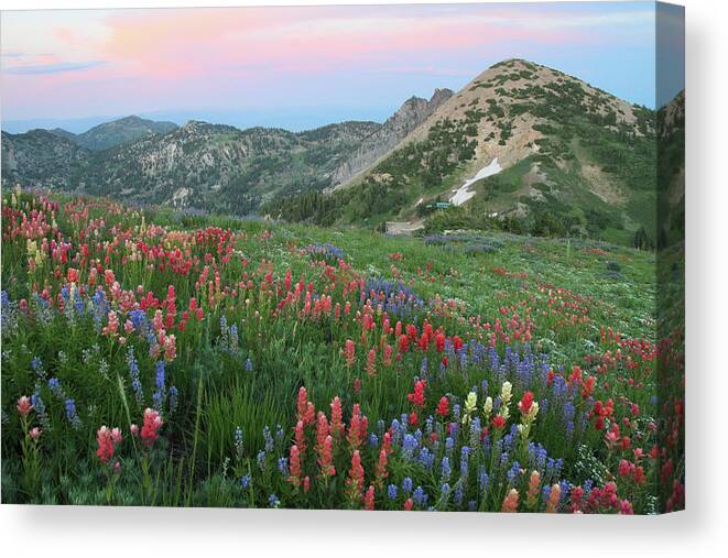 Landscape Canvas Print featuring the photograph Alpine Wildflowers and View at Sunset by Brett Pelletier
