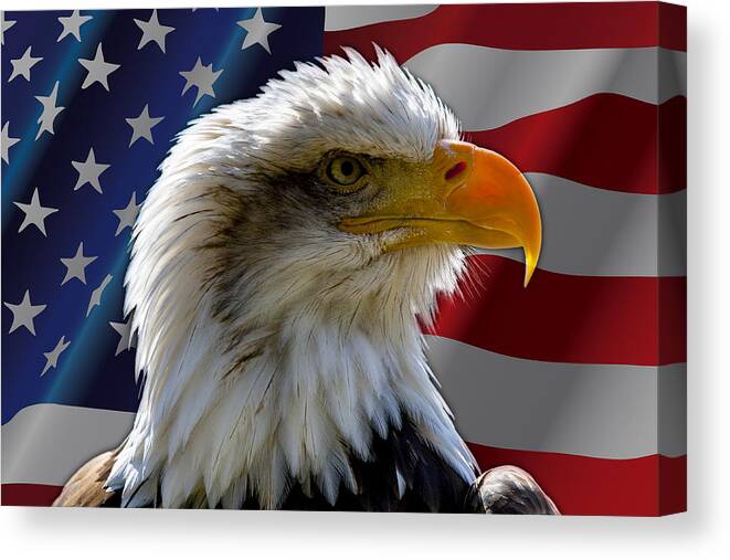 Stars And Stripes Canvas Print featuring the photograph America by Andy Myatt