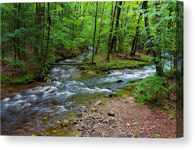 Nature Canvas Print featuring the photograph Amethyst Brook in Amherst MA by Richard Goldman