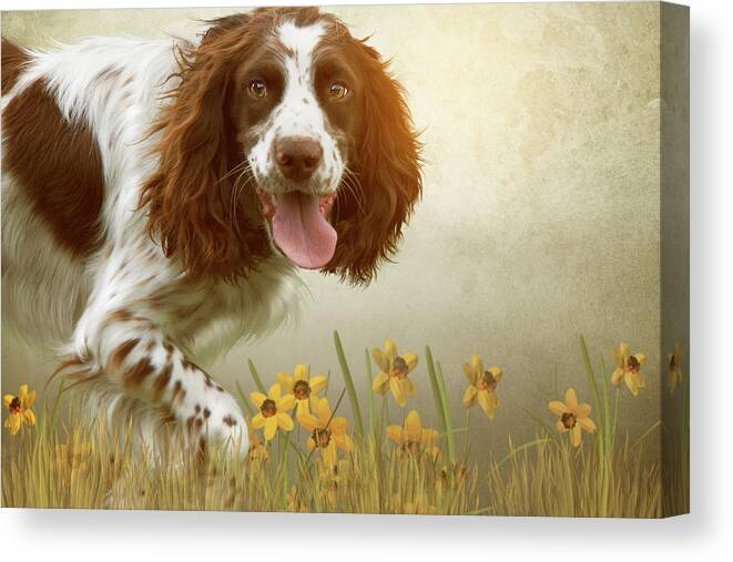 Cute Canvas Print featuring the photograph Amongst The Flowers by Ethiriel Photography