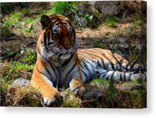 Amur Canvas Print featuring the mixed media Amur Tiger 1 by Angelina Tamez