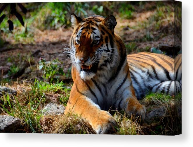 Amur Canvas Print featuring the mixed media Amur Tiger 5 by Angelina Tamez