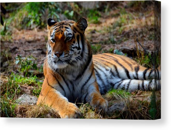 Amur Canvas Print featuring the mixed media Amur Tiger 8 by Angelina Tamez