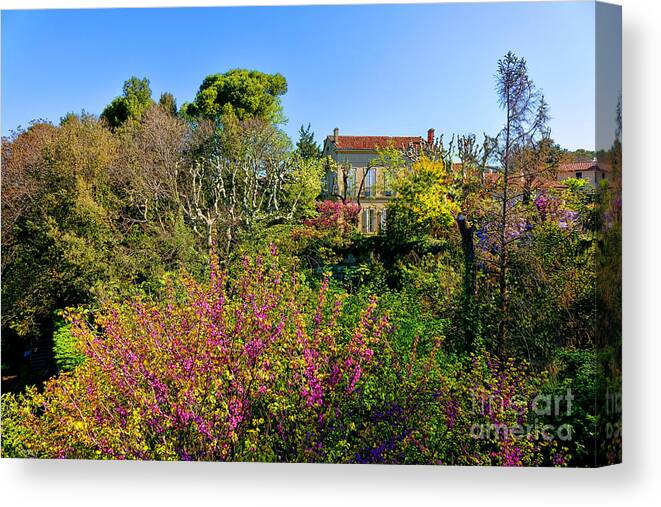 Provence Canvas Print featuring the photograph An Old House in Provence by Olivier Le Queinec