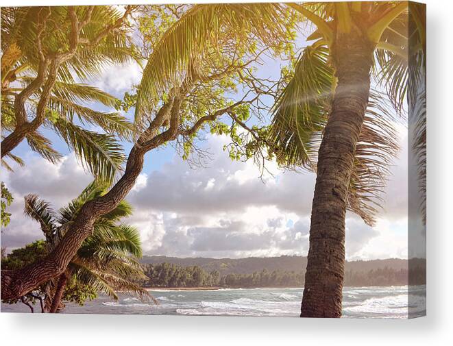 Beach Canvas Print featuring the photograph Ancient Throwback by JAMART Photography