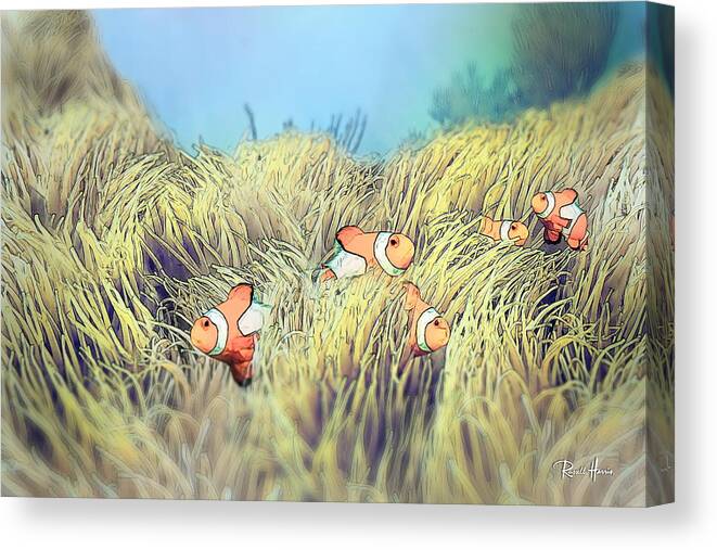 Clownfish Canvas Print featuring the photograph Anemone Clownfish by Russ Harris