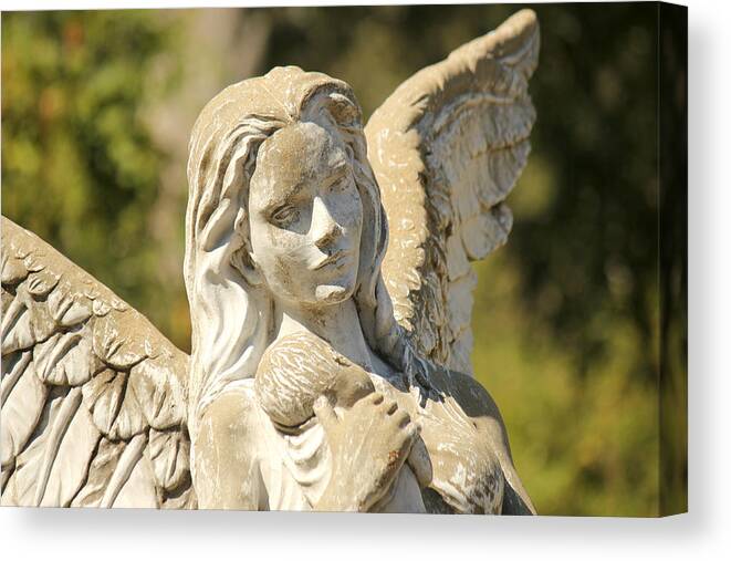 Angel Canvas Print featuring the photograph Angel in Mississippi by Lynn Jordan