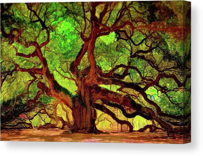 Angel Canvas Print featuring the photograph Angel Oak Tree by Russ Harris