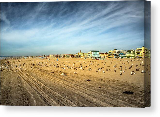 Sky Canvas Print featuring the photograph Another Seagull Afternoon by Michael Hope
