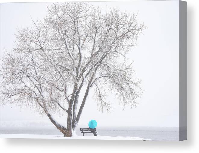 Winter Canvas Print featuring the photograph Another Winter Alone by Darren White