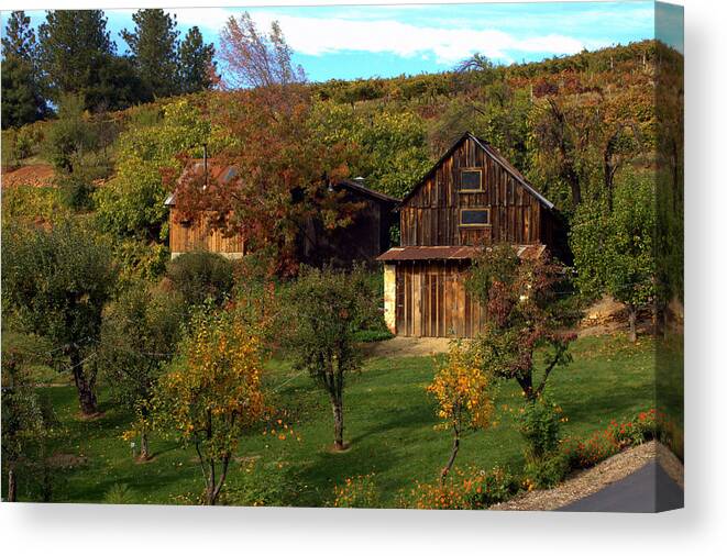 Apple Hill Canvas Print featuring the photograph Apple Hill Winery 2 by Randy Wehner