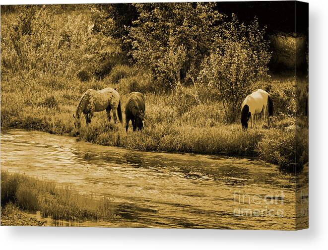 Art For The Wall...patzer Photography Canvas Print featuring the photograph Ardens Way by Greg Patzer