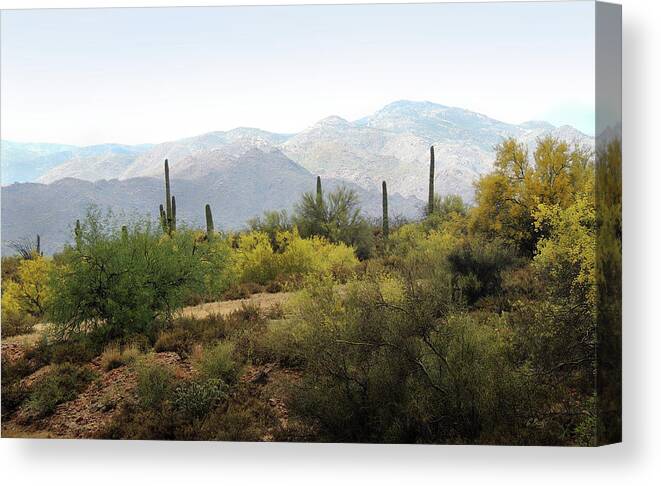 Beautiful Canvas Print featuring the photograph Arizona Back Country by Gordon Beck