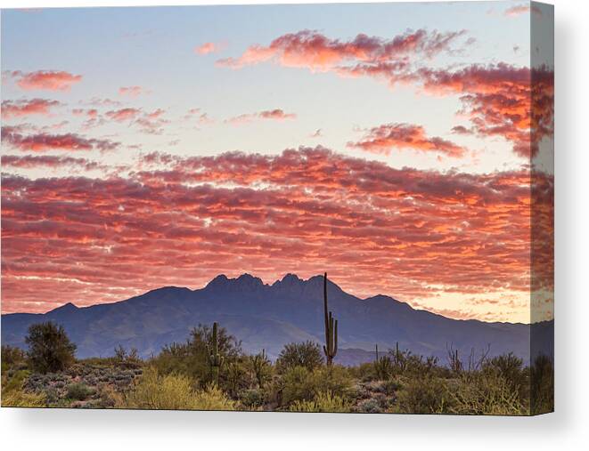 Desert Canvas Print featuring the photograph Arizona Four Peaks Mountain Colorful View by James BO Insogna