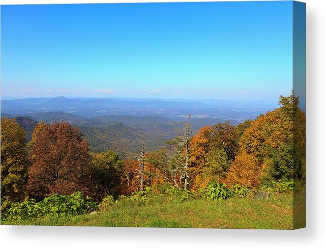 Great Canvas Print featuring the photograph Arnold Valley in Virginia by Jill Lang