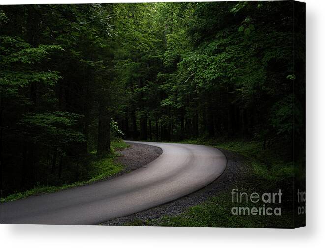 Drive Canvas Print featuring the photograph Around The Bend by Andrea Silies