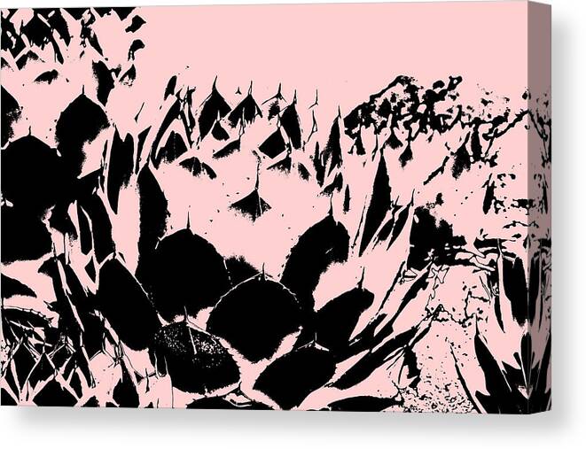 Pop Art Canvas Print featuring the photograph Artichoke Agave in Black and Mauve Digital Art Post Processed Photograph by Colleen Cornelius