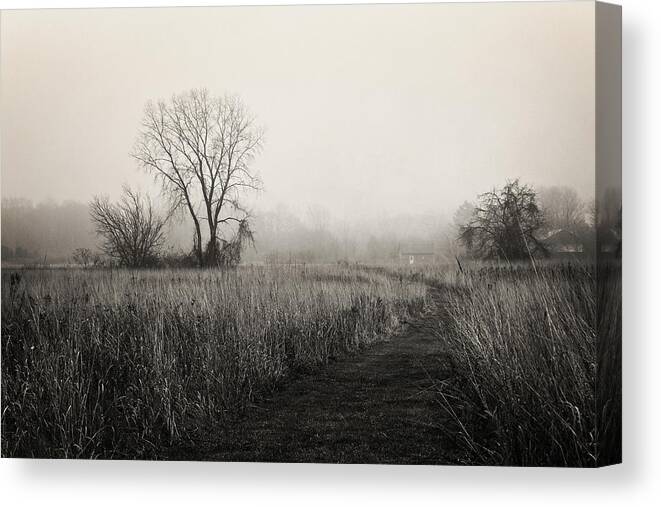 Wyandot Meadows Canvas Print featuring the photograph As The Fog Rolls In by Shawna Rowe