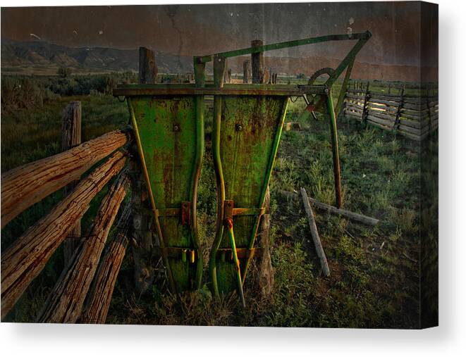 Cattle Canvas Print featuring the photograph As We Do by Mark Ross