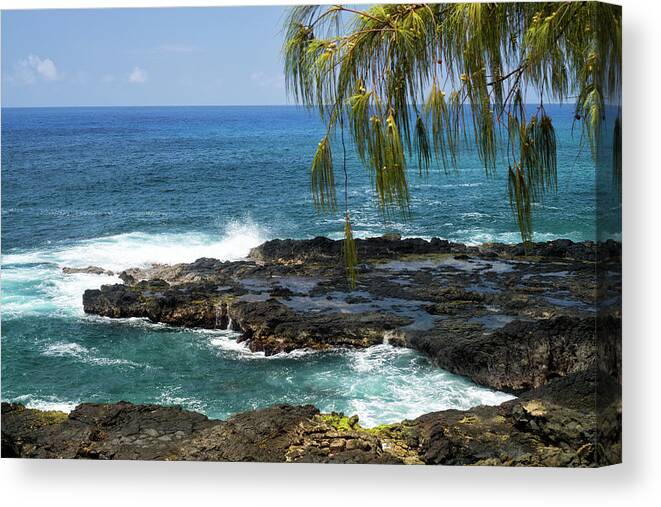 Hawaii Canvas Print featuring the photograph Ashore by Jason Wolters