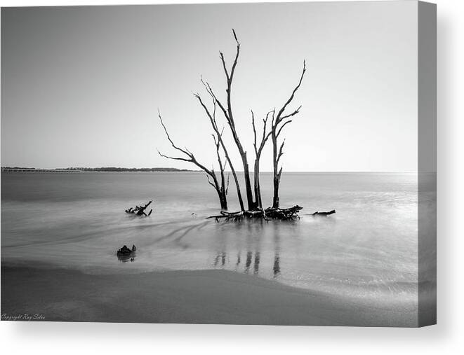 Island Canvas Print featuring the photograph Ashore by Ray Silva
