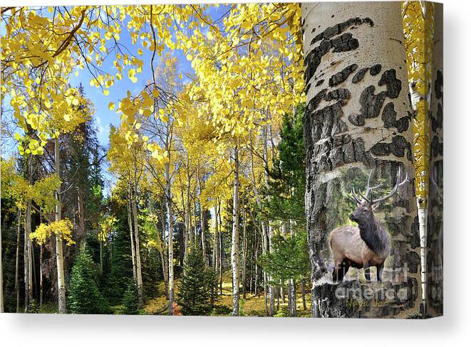 Nature Canvas Print featuring the photograph Aspen Tree by Nava Thompson