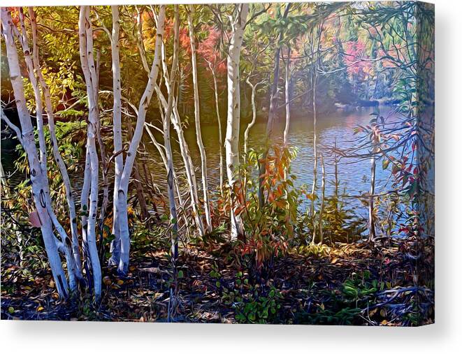 Trees Canvas Print featuring the mixed media Aspen trees in the fall by Tatiana Travelways