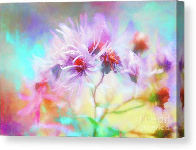 New England Asters Canvas Print featuring the photograph Asters Gone Wild by Anita Pollak