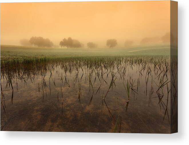 Jorgemaiaphotographer Canvas Print featuring the photograph At dawn by Jorge Maia