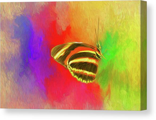Butterfly Canvas Print featuring the painting At Rest by Ches Black