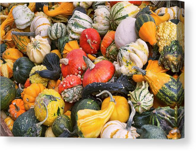 Gourds Canvas Print featuring the photograph At the Farmers Market - Squash and Pumpkins by Peggy Collins