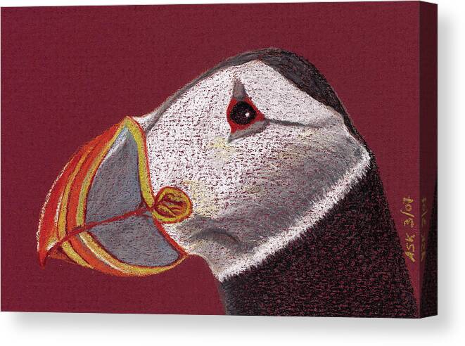 Puffins Canvas Print featuring the drawing Atlantic Puffin Profile by Anne Katzeff