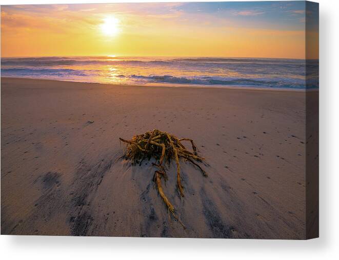 Sea Canvas Print featuring the photograph Atlantic Sunrise III by Steven Ainsworth
