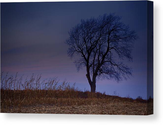 Wisconsin Canvas Print featuring the photograph Autum Tree by CA Johnson