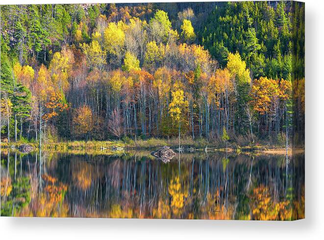 Maine Canvas Print featuring the photograph Autumn at Beaver Dam Pond by Dennis Kowalewski