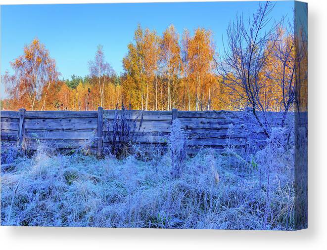 Yellow Canvas Print featuring the photograph Autumn Behind by Dmytro Korol
