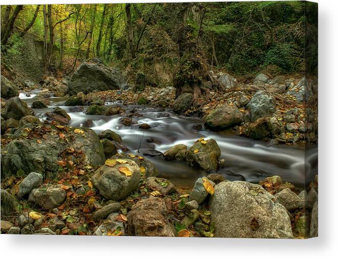 Landscape Canvas Print featuring the photograph Autumn by the river by Plamen Petkov