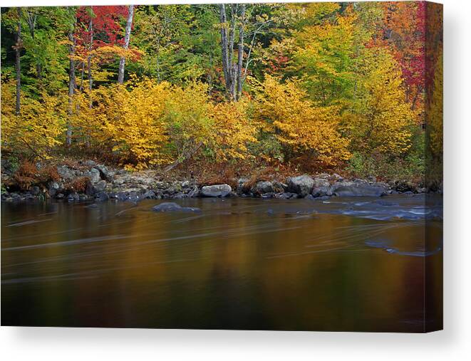Autumn Canvas Print featuring the photograph Autumn Color by Juergen Roth